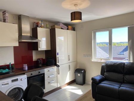 Flat 4, 78 Fitzroy Avenue, Belfast, BT7 1HX - Photo 5