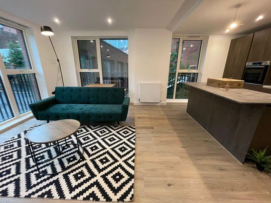 2 Bed Flat, Shadwell Street, B4 - Photo 1