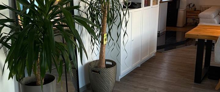 Wunderschöne, lichtdurchflutete DG-Wohnung mit Balkon Nachmieter - Photo 1