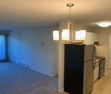 Large 2 bedroom 1.5 bathroom with in suite laundry - Photo 3