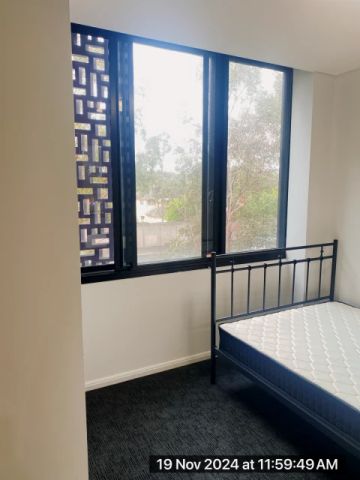 4 Bindon Pl, Sydney - Photo 2