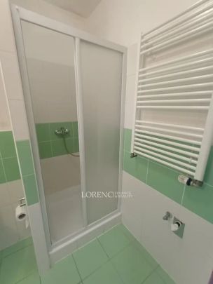Pronájem 1kk v centru Veselí nad Moravou - Photo 1