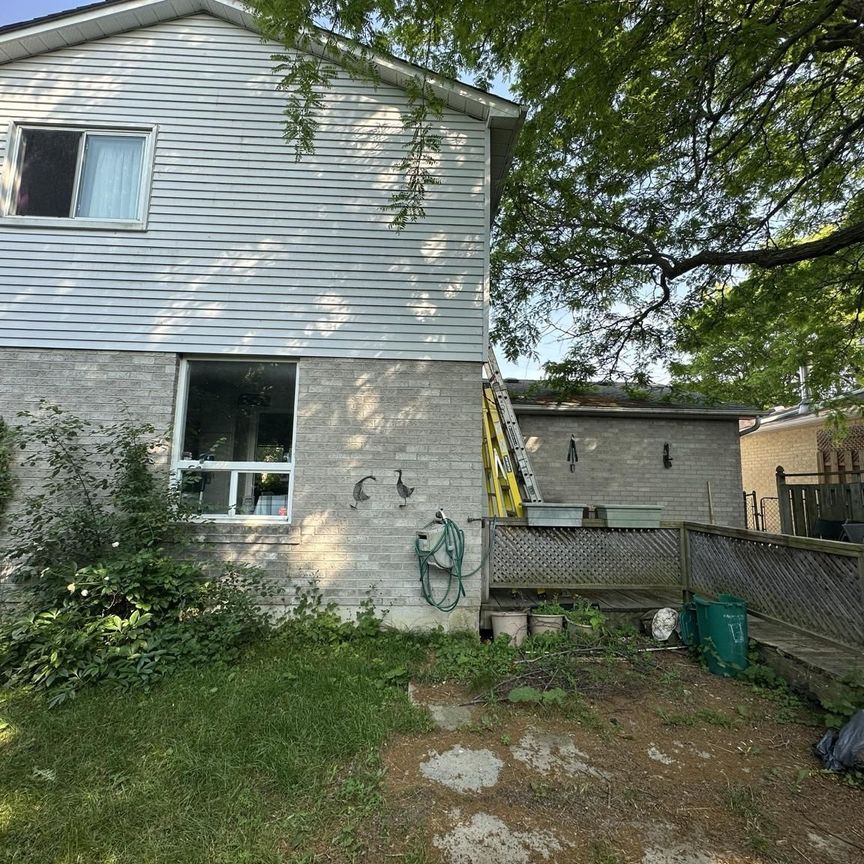 For Lease - 257 London Road, Newmarket, Ontario - Photo 1