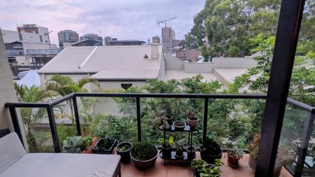 Surry Hills - Photo 3