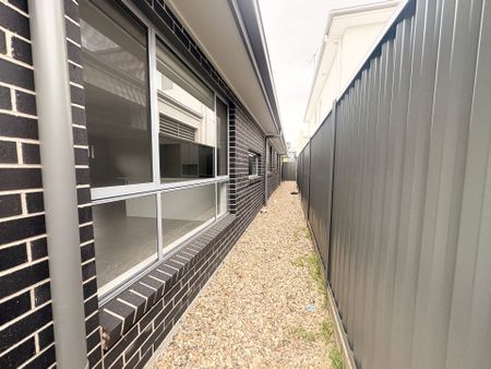 Modern Family Living in the Heart of Austral - Photo 4