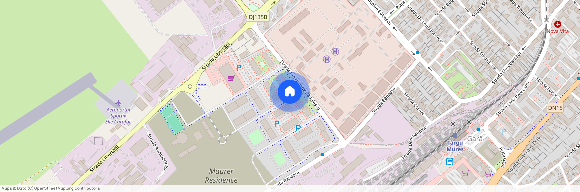 Mures, Targu Mures