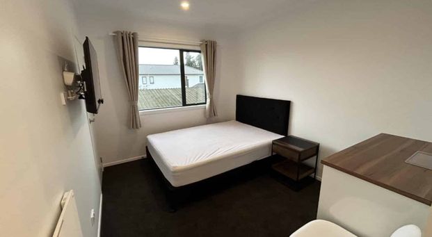 Highlight on Hibiscus - Photo 1