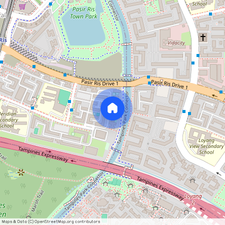 549 Pasir Ris Street 51 (510549), Singapore
