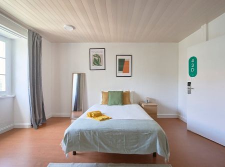 Rua Alexandre Herculano, Lisbon, Lisbon 1150-005 - Photo 4