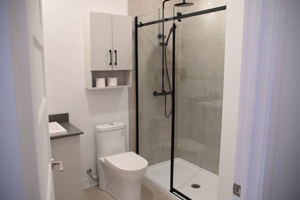 550 Rue Prieur E., app.210, H3L 2N6, H3L 2N6, Montréal - Photo 1