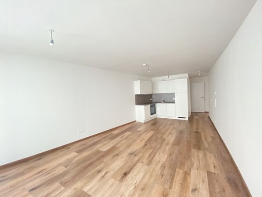 ERSTBEZUG -=Das Laurenz= 2 Zimmer Wohnung mit Loggia U3 - 1 Bedroom apartment with Loggia - Photo 1