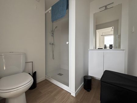Location Appartement 1 pièce Meublé 18m² NANTES 44300 - Photo 5