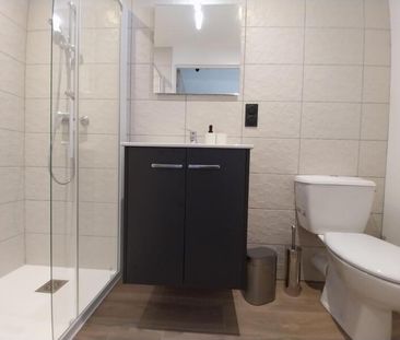 Location Appartement 1 pièce 18m² ORLEANS 45000 - Photo 5