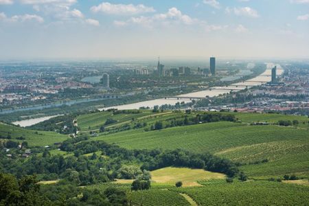 Luxus-Penthouse inmitten der Vienna Hills - traumhaftes Stadtpanorama - Photo 5