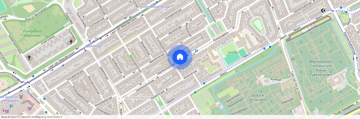 Vruchtenbuurt, 2564 JC, Vlierboomstraat, Den Haag