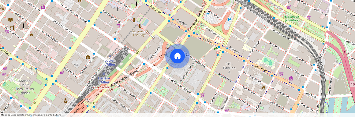 1200 Rue St-Jacques H3C0E9, Montréal