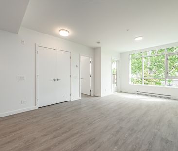 1008 Pandora Avenue, Victoria - Photo 2