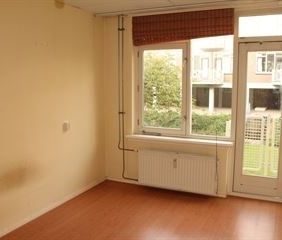 Apartment Rotterdam - Vlinderstraat - Photo 1