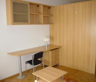 AFFITTASI APPARTAMENTI A LUGANO - Photo 1