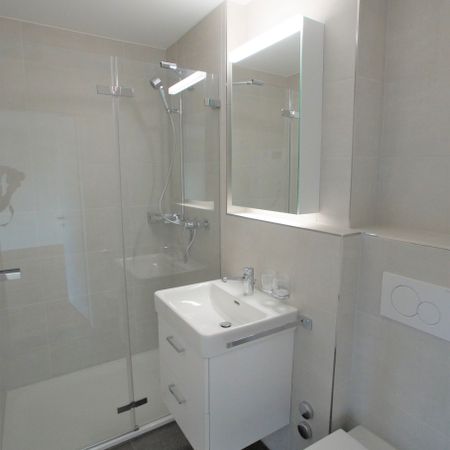 8134 Adliswil - Photo 4