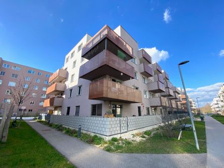 Attraktive 2-Zimmer Wohnung mit Terrasse in 1210 Wien zu mieten - Foto 4