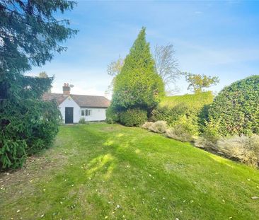 4 bedroom bungalow to rent - Photo 5