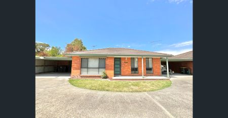Beautifully renovated 2 Bedroom unit with Carport - Photo 3