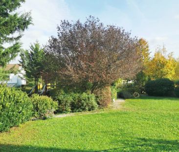 2 Zimmer-Garten-Wohnung in Mödling - Photo 5
