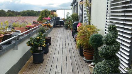 Schöne 3-Zimmer-Wohnung mit großer Dachterrasse in Südlage - Photo 2