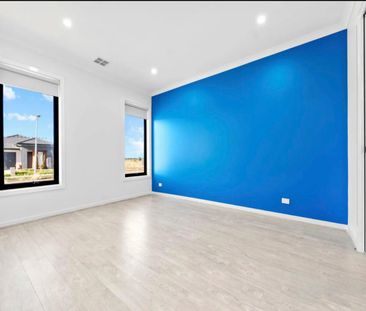 Modern 4 Bedroom Family Home for Rent in Winter Valley | Ducted Hea... - Photo 2