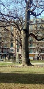 Johannes plan, Stockholm - Photo 3