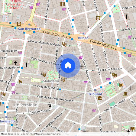 Calle Divino Pastor, 13, 28004 Madrid, Spain