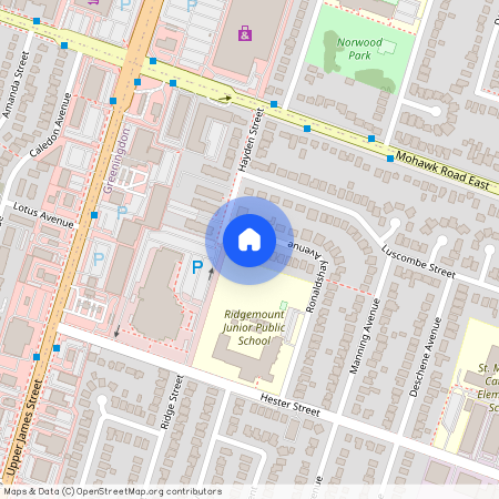 8 Ronaldshay Avenue Unit# ( Lower ), Hamilton