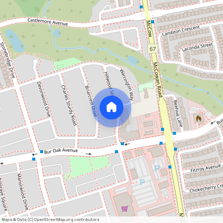 139 Hillwood Street Unit# Basement, Markham