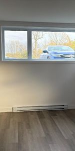 1-Bedroom Basement Apartment | Prime Commuter Location-410, Rue Des Becs-Scie, apt. 2, Gatineau (Masson-Angers), QC - Photo 4