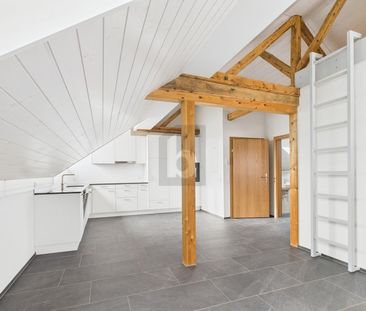 NEW, HISTORIC, LARGE GARDEN FOR SHARED USE - Photo 5