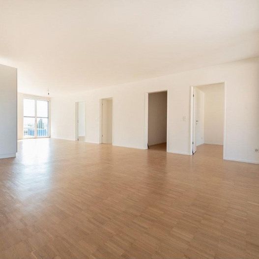 Moderne 3.5-Zimmer-Wohnung am Jurasüdfuss - Photo 1