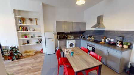 52 rue etienne richerand 52, Lyon - Photo 2