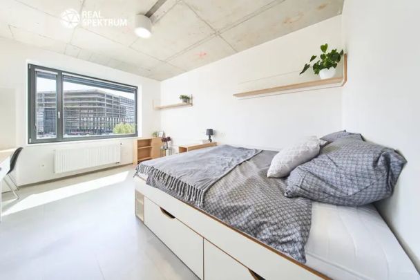 Pronájem moderního 1+kk (Double A) u Vaňkovky – BEZ PROVIZE! - Fotografie 1