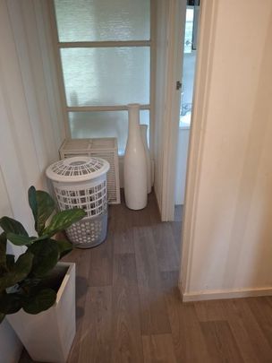 Private and sunny one bedroom unit - Photo 1