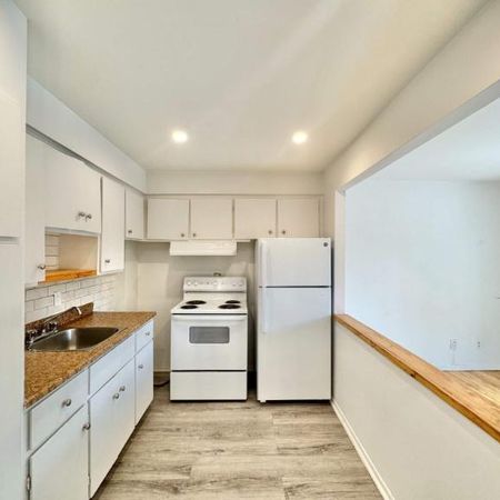1 CH - 1 SDB - Montréal - $1,275 /mo - Photo 4