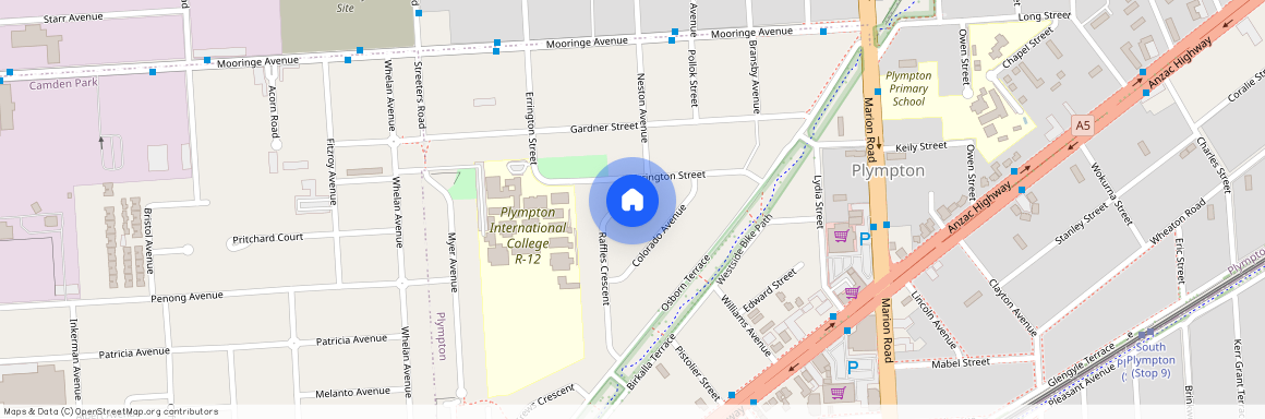 19 Raffles Crescent, SA 5038, Plympton