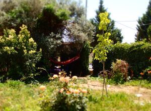 Studio/Γκαρσονιέρα για ενοικίαση - Μεσσαπία, - Φωτογραφία 5