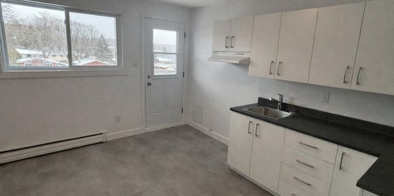 BEAU 3 1/2 | CHAUFFAGE-EAU CHAUDE - Photo 3