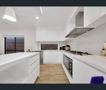 Modern Family Home in Mickleham with 4 Bedrooms - Photo 3