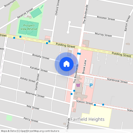 4B Bodalla Street, NSW 2165, Fairfield Heights