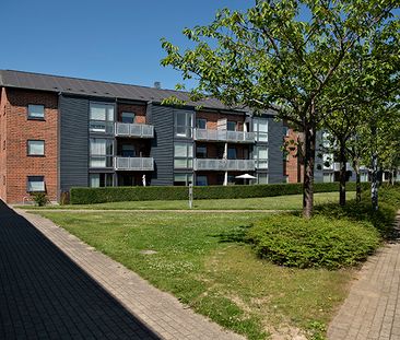 Skolevangen, 85, 8620, Kjellerup - Foto 6