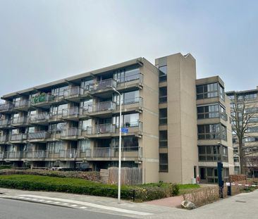 Te huur: Van Bijnkershoeklaan 152 - Foto 6