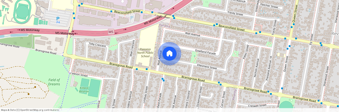 3A Ellesmere Street, Panania