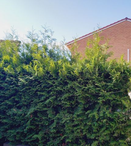 Torparegatan 2 - Photo 5